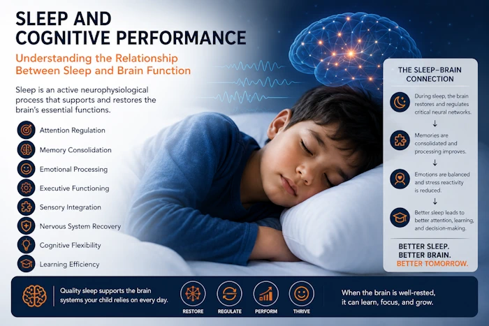 Sleep and Cognitive Performance