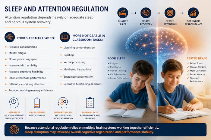 Sleep and Attention Regulation