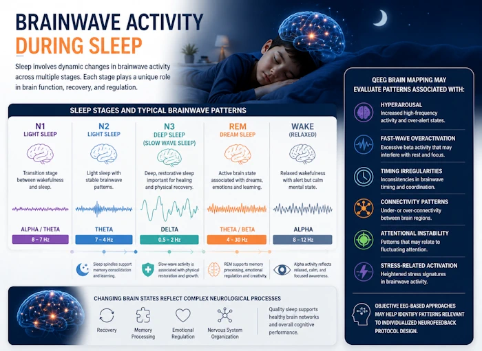 Brainwave Activity During Sleep